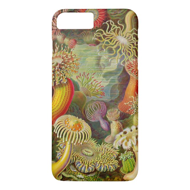 Capa Para iPhone, Case-Mate A Vida do Oceano Actinae de Ernst Haeckel (Verso)