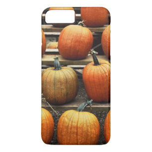 Capa Para iPhone Da Case-Mate Abóboras de outono