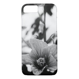 Capa iPhone 8/ 7 Abutilon Pictum Flor Preto e Branco