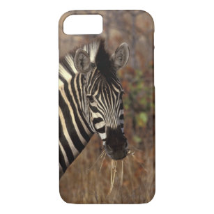 Capa iPhone 8/ 7 África, África do Sul, retrato da zebra de Kruger