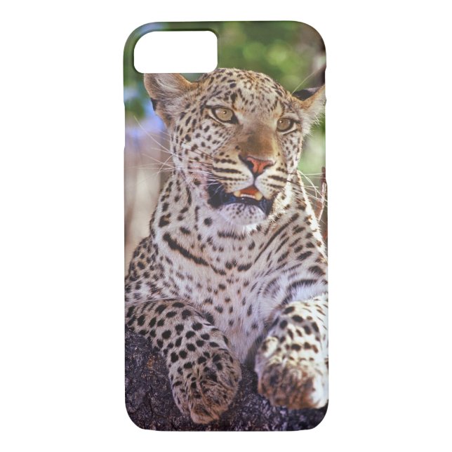 Capa Para iPhone, Case-Mate África, Botsuana, Delta do Okvango, leopardo selva (Verso)