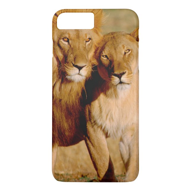 Capa Para iPhone, Case-Mate África, Namíbia, Okonjima. Leão & leoa (Verso)