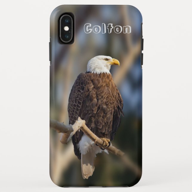 Capa Para iPhone, Case-Mate Águia americana (Verso)