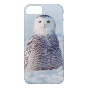 Capa Para iPhone Da Case-Mate Alaska Wildlife Artic Snowy Owl Case