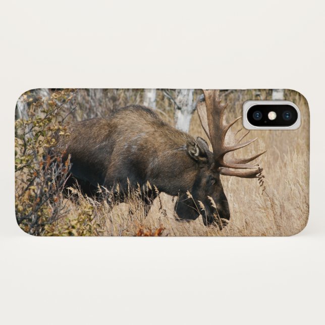Capa Para iPhone, Case-Mate Alce-Macho Pastando (Verso (Horizontal))