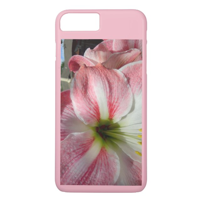 Capa Para iPhone, Case-Mate Amaryllis Beautifull Flower bloe (Verso)