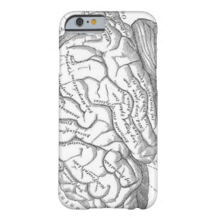 Capa Barely There Para iPhone 6 Anatomia do cérebro do vintage