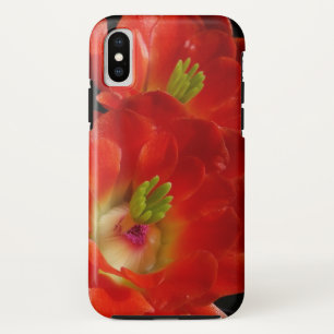Capa Para iPhone Da Case-Mate Arizona Claret Cup Cactus Com Flores De Escarlate