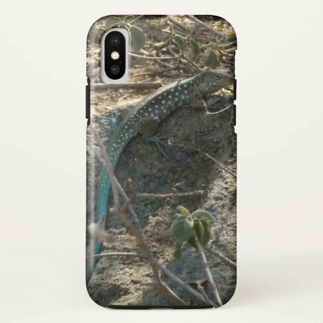 Capa Para iPhone, Case-Mate Aruban Whiptail Lizard Fotografia Animal Tropical (Verso)