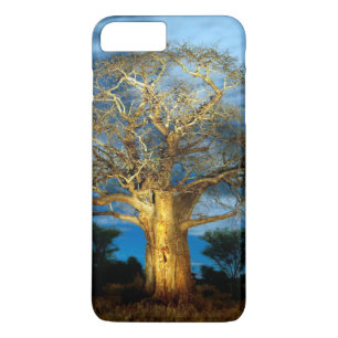 Capa Para iPhone Da Case-Mate Árvore Do Baobá (Adansonia) Acesa Pela Lua