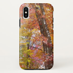 Capa Para iPhone Da Case-Mate Árvores de Outono Laranja e Amarelo Fotografia de