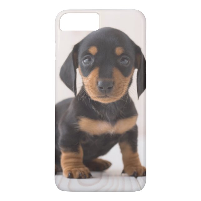Capa Para iPhone, Case-Mate Assento diminuto do Dachshund (Verso)