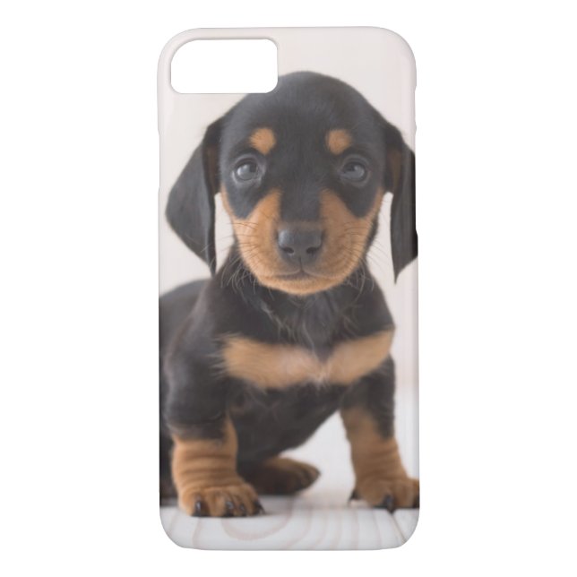 Capa Para iPhone, Case-Mate Assento diminuto do Dachshund (Verso)