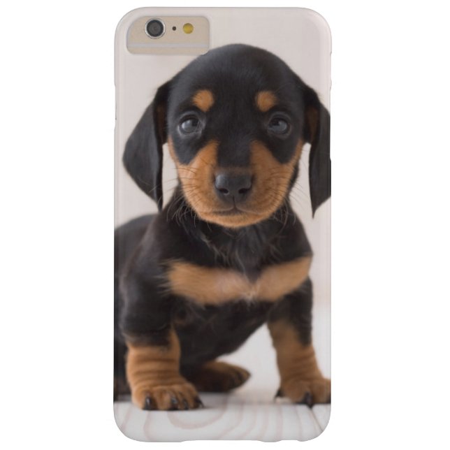 Capa Para iPhone, Case-Mate Assento diminuto do Dachshund (Verso)