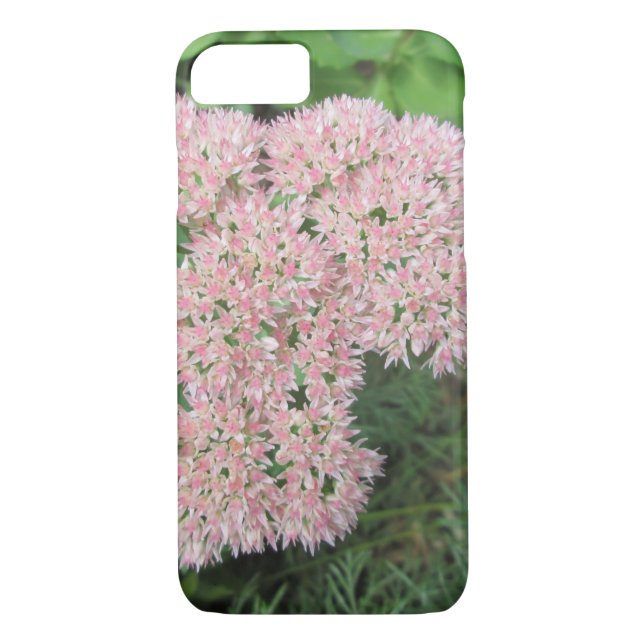 Capa Para iPhone, Case-Mate Autumn Joy Sedum Rosa (Verso)