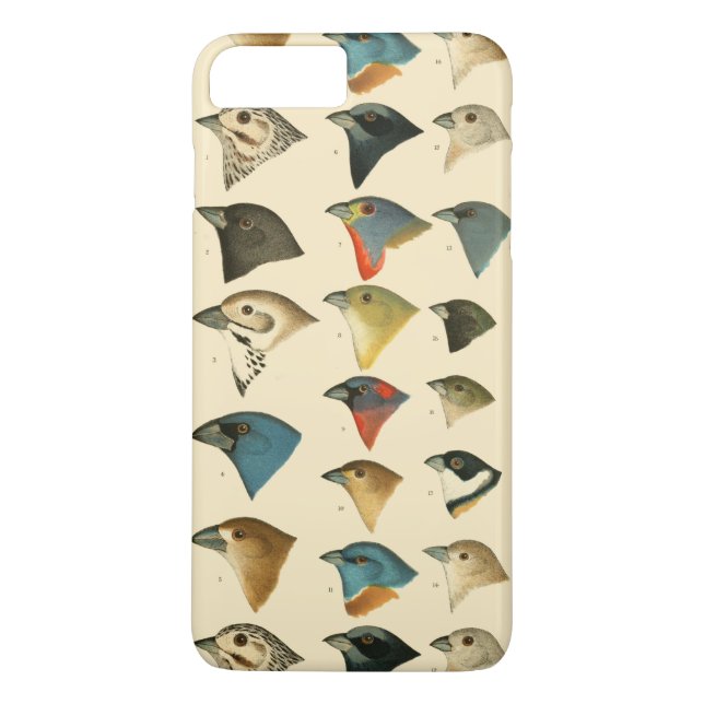 Capa Para iPhone, Case-Mate Aves da América do Norte (Verso)