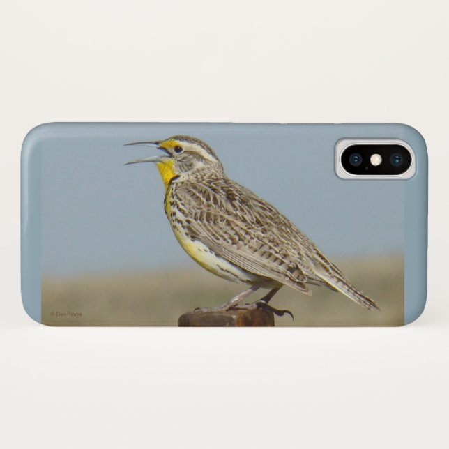 Capa Para iPhone, Case-Mate B6 Meadowlark Ocidental (Verso (Horizontal))
