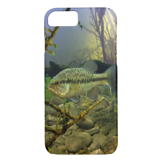 Capa Para iPhone, Case-Mate Baixo Largemouth (Verso)