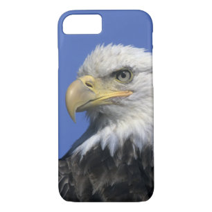 Capa Para iPhone Da Case-Mate Bald Eagle (Haliaeetus leucocephalus), selvagem,