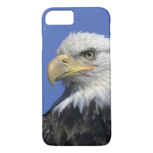 Capa Para iPhone, Case-Mate Bald Eagle (Haliaeetus leucocephalus), selvagem, (Verso)