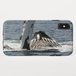 Capa Para iPhone Da Case-Mate Baleia-jubarte