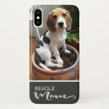 Beagle Mãe Suave Adicione Sua Foto De Cachorro