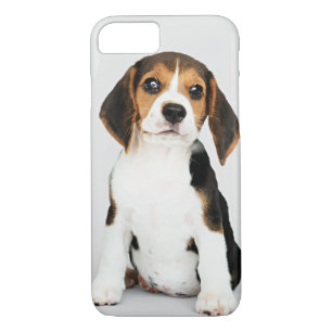 Capa iPhone 8/ 7 Beagle Puppy, incrivelmente fofo