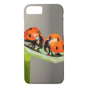 Capa iPhone 8/ 7 Beijando Ladybugs