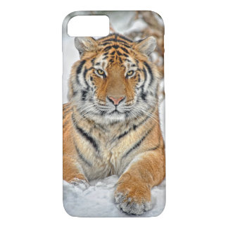 Capa iPhone 8/ 7 Beleza do tigre na neve