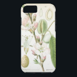 Capa iPhone 8/ 7 Belo vintage floral, antiga botânica<br><div class="desc">Belo impressão floral botânico vintage - antiga flor em prato francês desenhando cobrir de caixa Tough iPhone 6.</div>