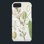 Capa iPhone 8/ 7 Belo vintage floral, antiga botânica<br><div class="desc">Belo impressão floral botânico vintage - antiga flor em prato francês desenhando cobrir de caixa Tough iPhone 6.</div>