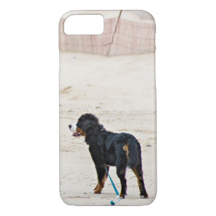 Capa iPhone 8/ 7 Bernese Mountain dog na areia