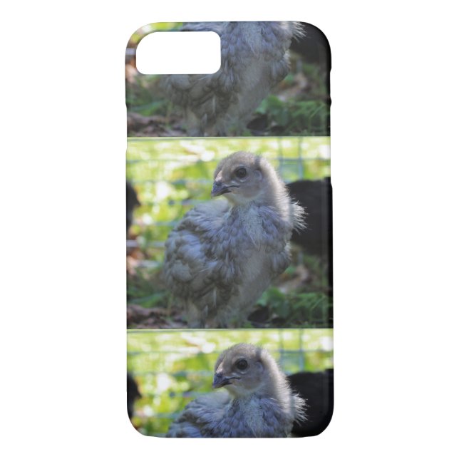 Capa Para iPhone, Case-Mate Bluebell (Verso)