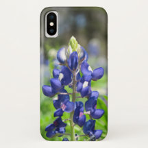 Bluebonnet do iPhone X