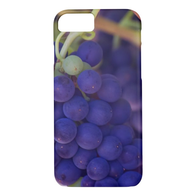 Capa Para iPhone, Case-Mate Bolinhos De Uvas Roxas Na Vinha (Verso)