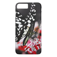 Borboleta na Flor Vermelha