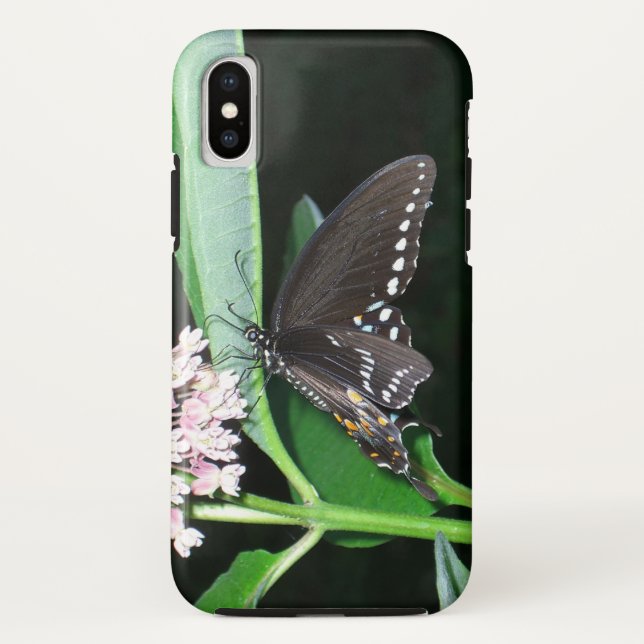 Capa Para iPhone, Case-Mate Borboleta Noturna Black Swallowtail em Shenandoah (Verso)