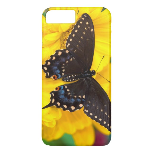 Capa Para iPhone, Case-Mate Borboleta Rabo-de-Andorinha-preta (Verso)