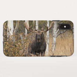 Capa Para iPhone Da Case-Mate Bull Moose Impressionante
