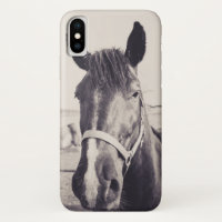 Cabeça de Cavalo 008