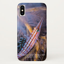 Capa Para iPhone X Cabeça-de-palha