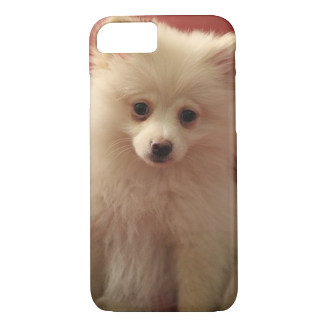 Capa Para iPhone, Case-Mate Cachorro Pomerano (Verso)