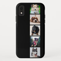 Cães Cães Instagram Fotos