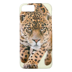 Capa iPhone 8/ 7 Caminhando Olhos de Jaguar