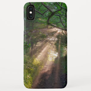 Capa Para iPhone Da Case-Mate Caminho da Floresta