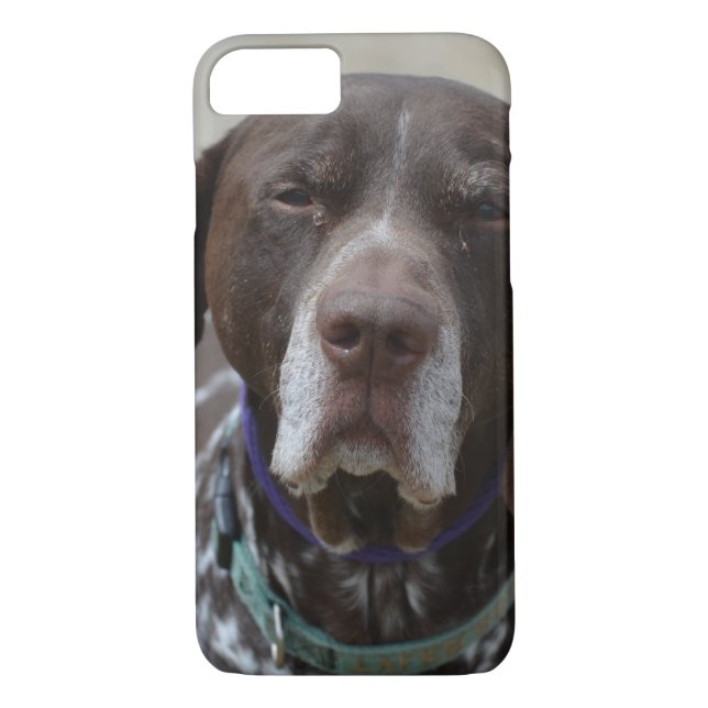 Capa Para iPhone, Case-Mate Cão alemão do ponteiro de cabelos curtos (Verso)