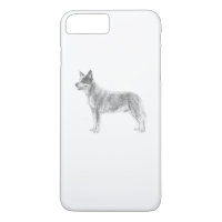 Cão de Bovinos Australiano