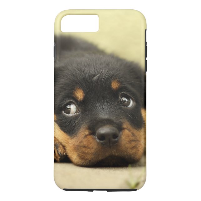 Capa Para iPhone, Case-Mate Cão de filhote de cachorro de Rottweiler curioso (Verso)