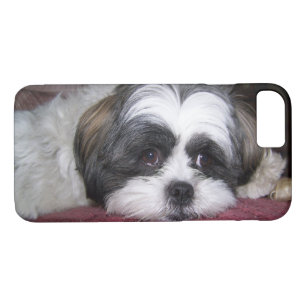 Capa iPhone 8/ 7 Cão de Shih Tzu