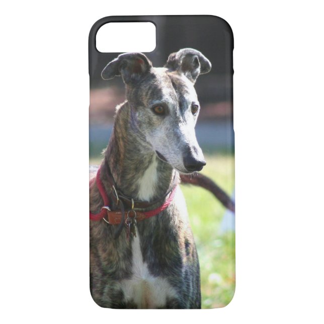 Capa Para iPhone, Case-Mate Cão do galgo (Verso)